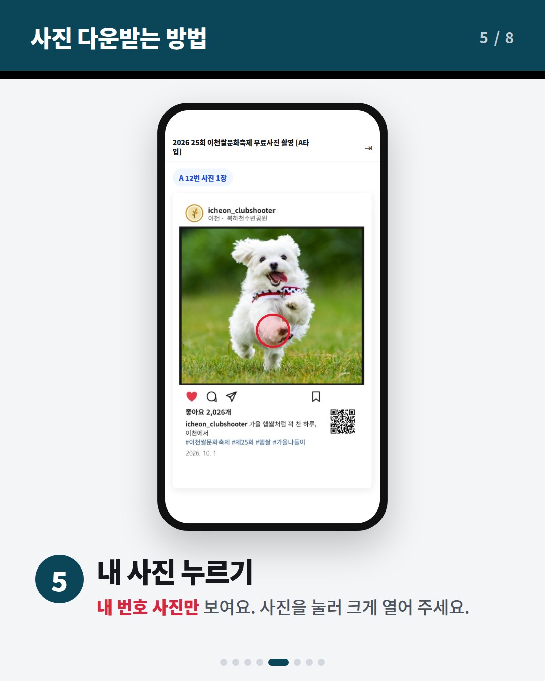 사진 다운받는 방법 5